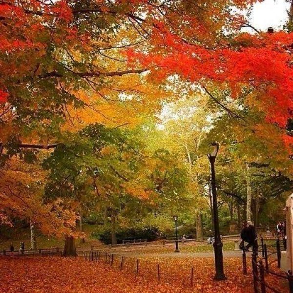 rs=w_1300,h_800 (12)